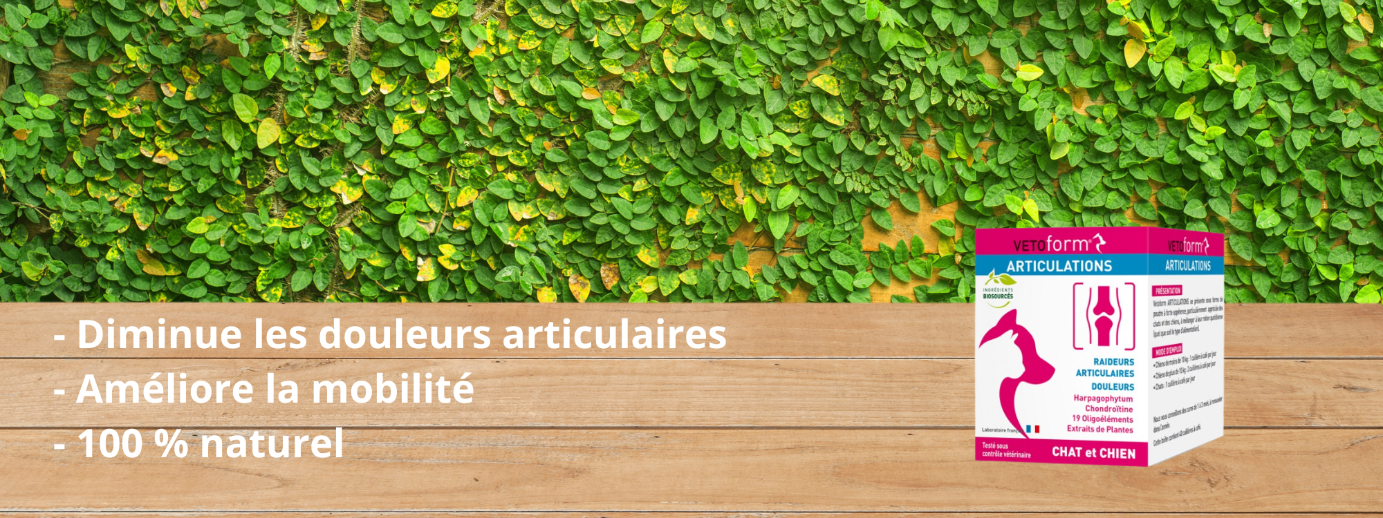 Vetoform Articulation de retour
